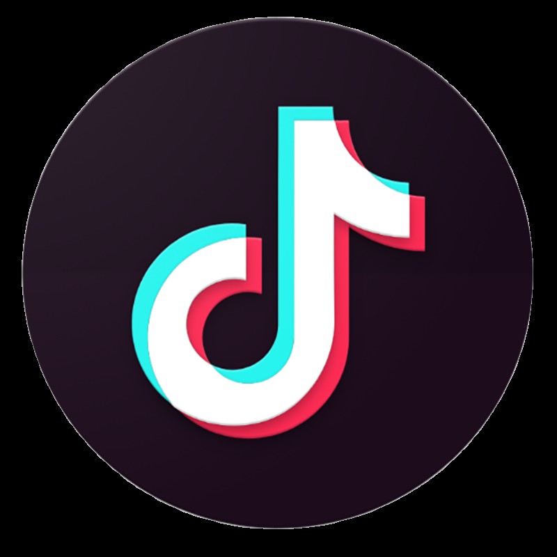 TikTok Logo